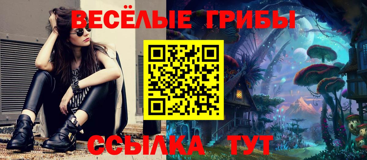 Галлюциногенные грибы прущие грибы  Вход с VPN  Галлюциногенные грибы GOLDEN TEACHER  где купить наркоту  Сланцы 
