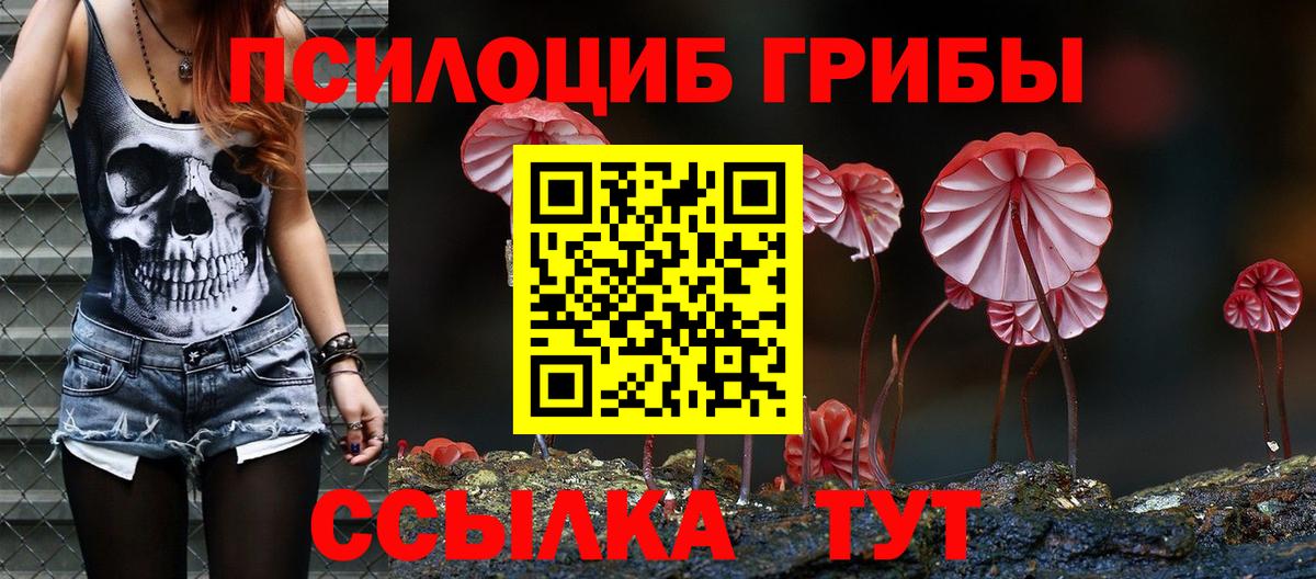 Галлюциногенные грибы Psilocybine cubensis Сланцы
